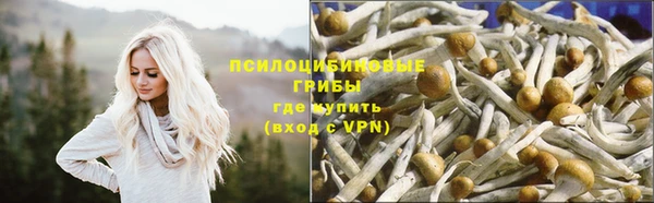 спиды Богданович