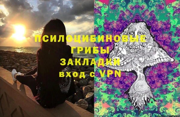 спиды Богданович