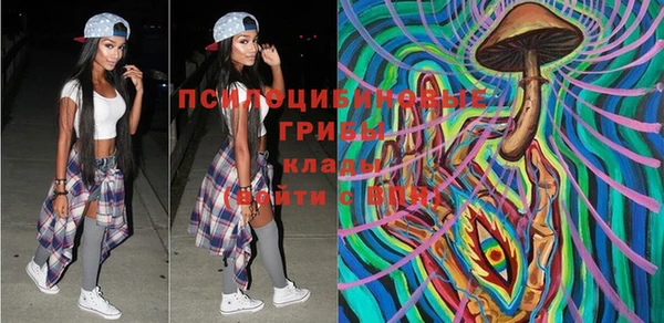 спиды Богданович