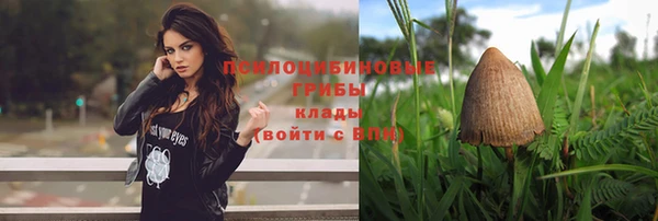 спиды Богданович