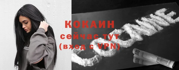 спиды Богданович
