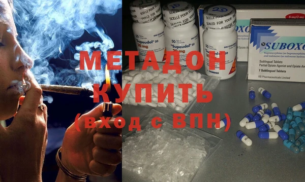 спиды Богданович