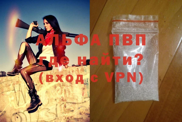 спиды Богданович