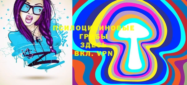 спиды Богданович